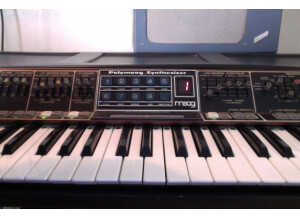 Moog Music Polymoog Synthesizer (203A) (57142)