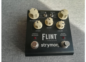 Strymon Flint (85721)