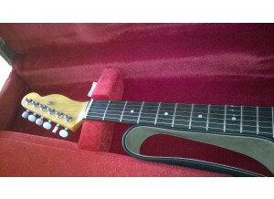 Fender American Standard Telecaster [2012-Current] (26383)