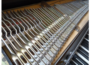 Fender Rhodes Mark I Stage Piano (50588)