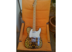 Fender Telecaster Highway 1