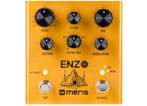 Meris Enzo Front Controls 489x535