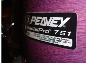 Peavey Radial Pro 751