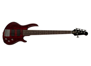 Gibson EB Bass 5 2019