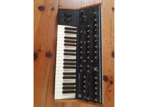 Moog Music SUB 37 (53560)