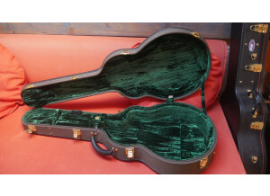 McPherson Guitars MG 4.5 Macassar Ebony/Port Oxford Cedar