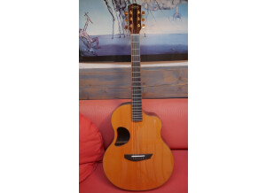 McPherson Guitars MG 4.5 Macassar Ebony/Port Oxford Cedar