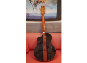 McPherson Guitars MG 4.5 Macassar Ebony/Port Oxford Cedar (17066)