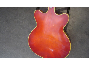 Hofner Guitars Verythin Vintage (28479)