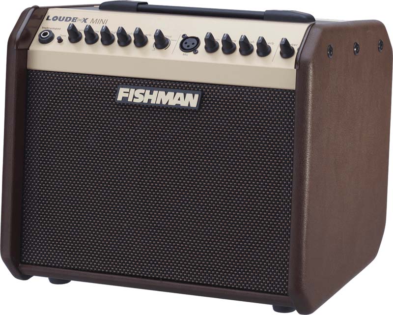 Fishman Loudbox Mini (2010-2018)