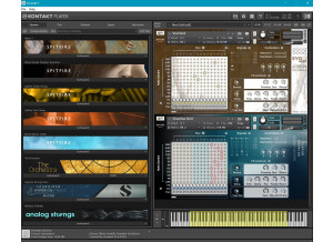 Spitfire Audio Albion V Tundra (53643)