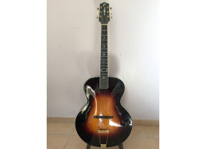 The Loar LH-700 (9560)
