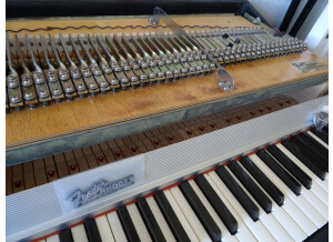 Fender Rhodes Mark I Stage Piano (81367)