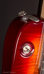 Rambler-Pick-Up-Selector-and-StringCatcher Rambler-Pick-Up-Selector-and-StringCatcher