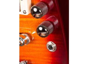 Rambler-Volume-and-Tone-Controls