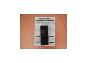 Fame LEF-304 Chorus (12463)