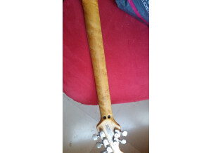 Music Man Luke (Floyd Rose) (70483)