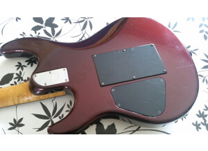 Music Man Luke (Floyd Rose) (69440)