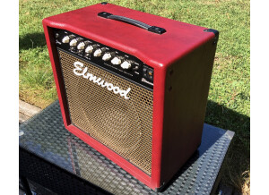 Elmwood Stinger 30 Combo 1x12