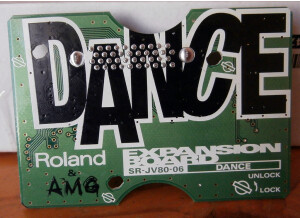 Roland SR-JV80-06 Dance (17125)