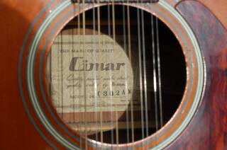 Cimar C302AM