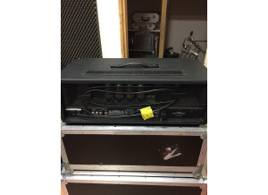 Peavey 2