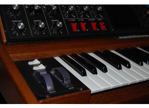 Moog Music Minimoog Voyager (76866)