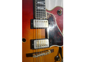 Gibson Byrdland
