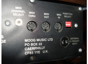 Moog Music MiniMoog (74836)