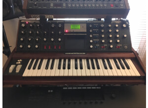 Moog Music Minimoog Voyager Performer Edition (89249)