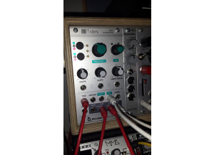 Mutable Instruments Tides (2845)