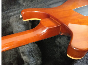 prs-p22-trem-2349376