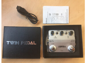 Rowin LTL-01 Twin Looper