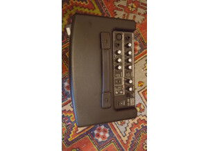 Roland AC-33-RW (36909)