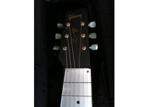 Gibson Ultratone