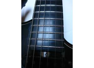 Parker Guitars NiteFly SA (47284)