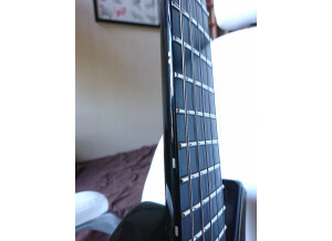 Parker Guitars NiteFly SA (732)