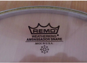 Remo ambassador