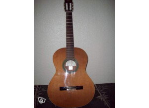 Alhambra Guitars 2C (28013)