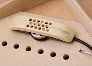 Anthembridgeplate lowres