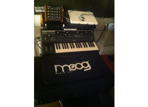 Moog Music Little Phatty Stage II (32522)