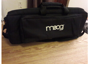 Moog Music Etherwave Theremin Standard (15260)