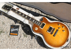 Gibson Les Paul Standard 2008 Plus (20333)