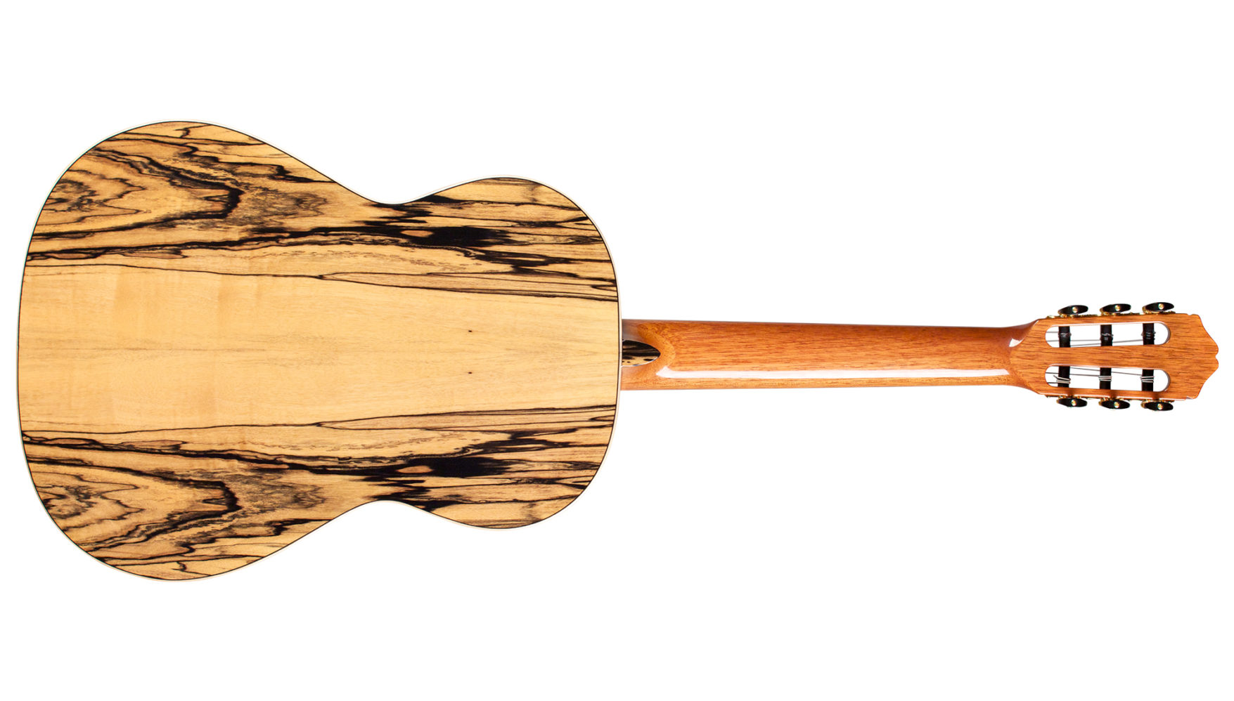 45LTD_highlight_Back-1755x998