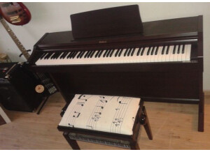 Roland RP101E (68033)