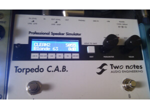 Two Notes Audio Engineering Torpedo C.A.B. (Cabinets in A Box) (44977)