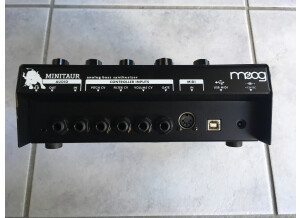 Moog Music Minitaur (5313)
