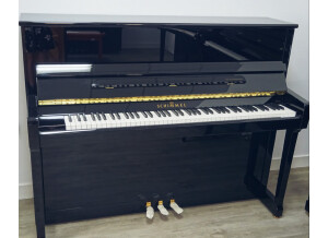 Schimmel 118 T (69228)