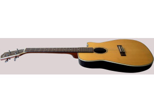 Clearwater Roundback Baritone (20340)