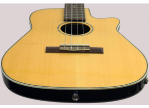 Clearwater Roundback Baritone (48861)